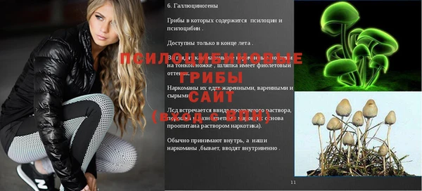 МДПВ Медногорск