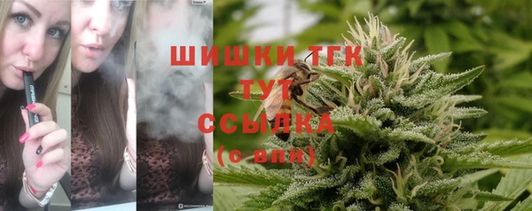 МДПВ Медногорск