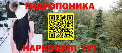 крисы Балашиха