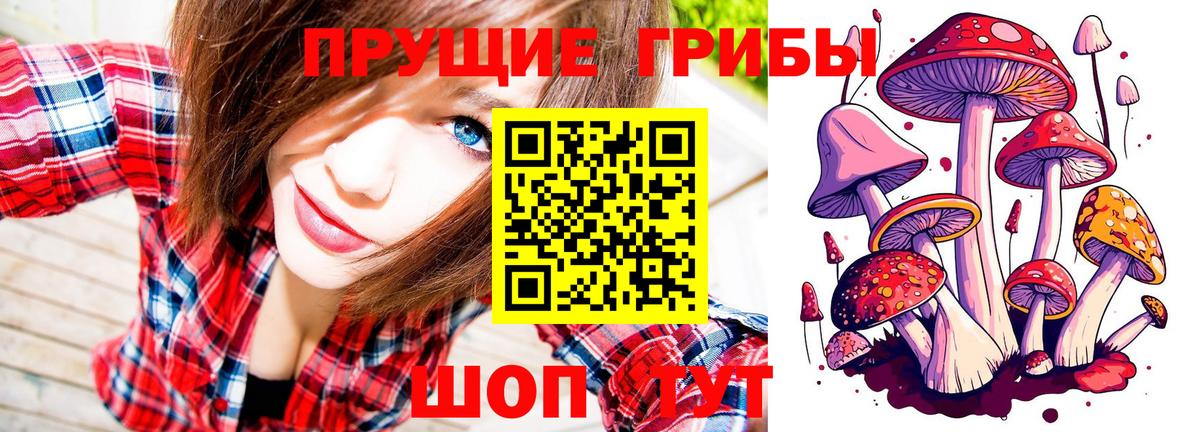 Галлюциногенные грибы Magic Shrooms  Галлюциногенные грибы Psilocybine cubensis  Кострома 