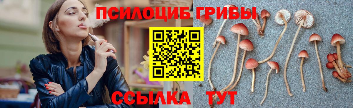 Галлюциногенные грибы Magic Shrooms Кострома